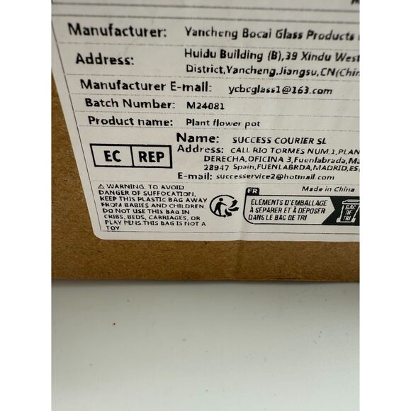 Decorative Glass Plant Jars Wooden Base for Hydroponic and Plant Propagation - Picture 6 of 6